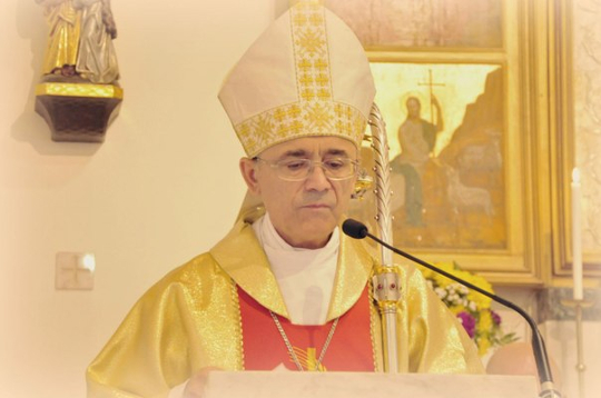 Визитация епископа, зима 2012